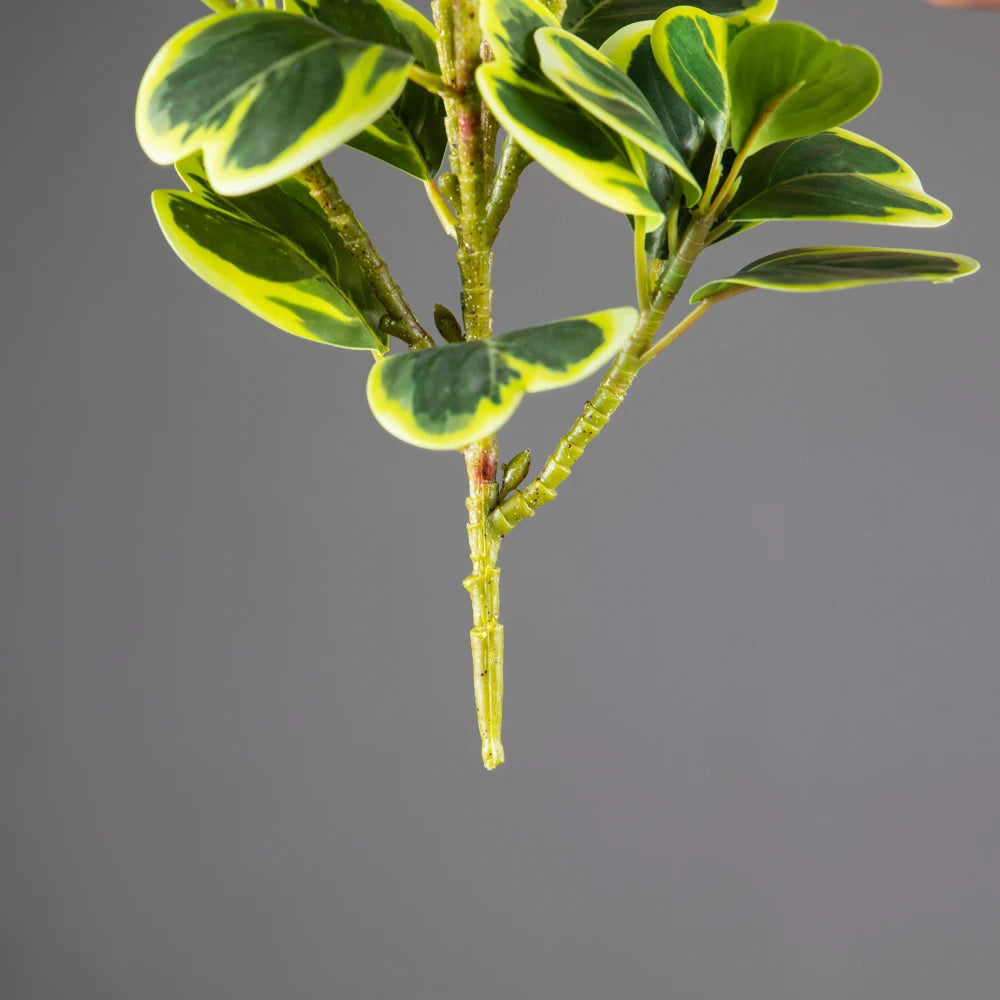 Künstliches Herzblatt-Ficus-Baum mit grün-gelblichen, gefleckten Blättern an einem Stiel