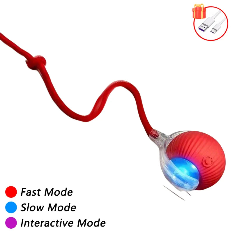 Red and blue interactive motion sensor cat ball toy with an LED tail for play