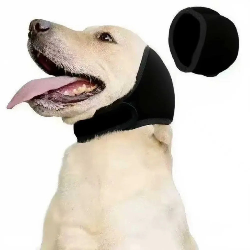A light-colored dog wearing a black calming noise reduction earmuff on its head.