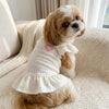 Un petit chien brun clair et blanc portant une robe blanche à manches froncées et un cœur rose.