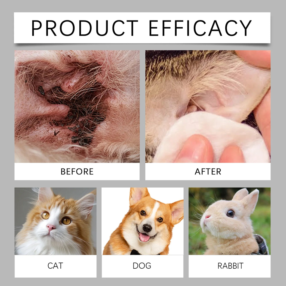 Comparación de la eficacia de limpieza de orejas de mascotas, mostrando resultados antes y después en gato, perro y conejo.