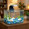 Klares Glas Aquarium mit farbenfrohen Fischen und Wasserpflanzen, beleuchtet durch eine schwarze LED-Klemme.
