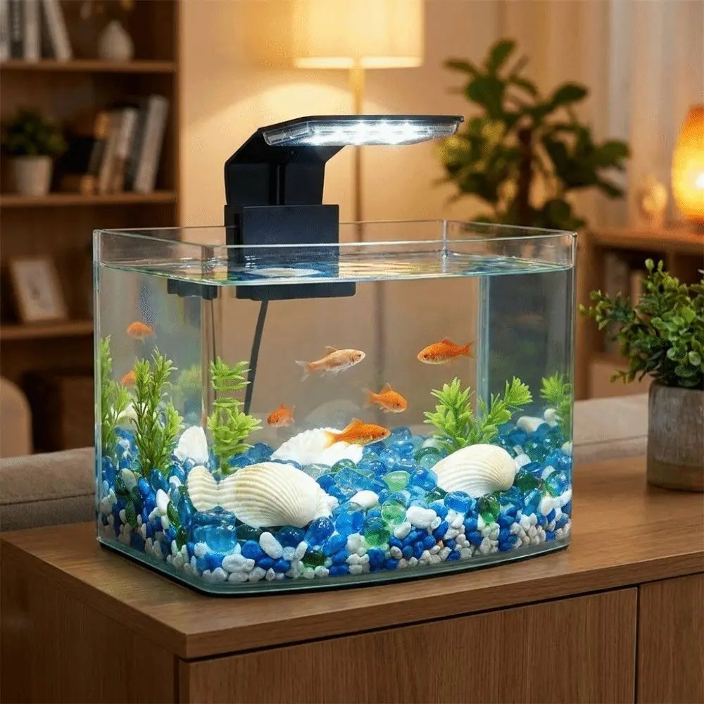 Klares Glas Aquarium mit farbenfrohen Fischen und Wasserpflanzen, beleuchtet durch eine schwarze LED-Klemme.