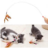A long feather wand with a bell is shown being used to tease a cat.