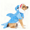 Un chien portant un costume de flanelle de requin bleu et blanc avec un détail de nageoire rouge.