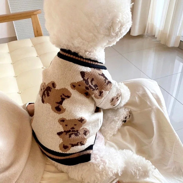A fluffy white dog wearing a brown bear print sweater, sitting on a white surface.