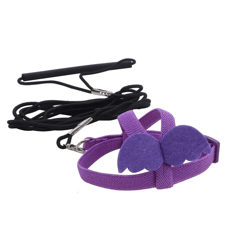 Purple felt parrot bird harness and leash set with a black strap