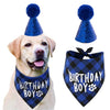 Un golden retriever portant un chapeau de fête bleu et un bandana à carreaux bleus pour une fête canine.