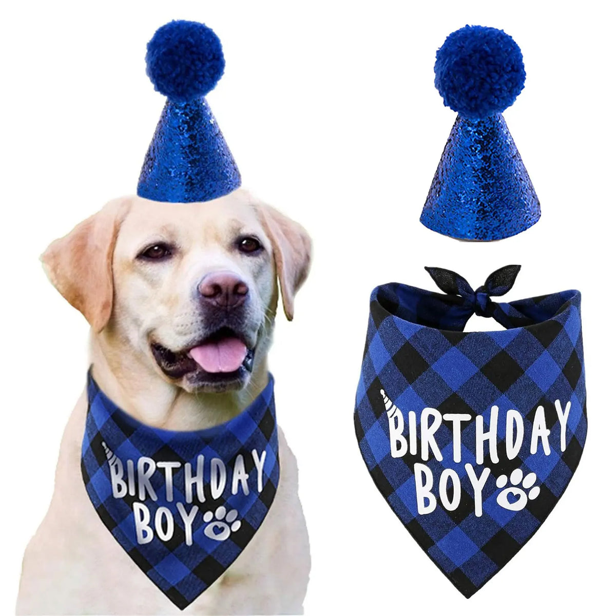 Un golden retriever portant un chapeau de fête bleu et un bandana à carreaux bleus pour une fête canine.