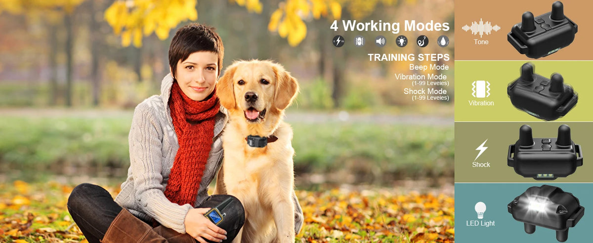 A golden retriever is standing next to a person, with various working modes of a dog training collar displayed.