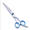 A pair of precision stainless steel pet grooming shears with blue accents.