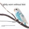 A small blue and white parrot perched on a wooden branch, demonstrating the lightly worn traction rope.
