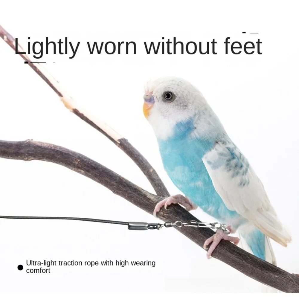 A small blue and white parrot perched on a wooden branch, demonstrating the lightly worn traction rope.