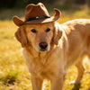 A golden retriever wearing a brown cowboy hat standing in a grassy field.