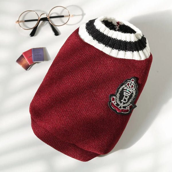 Pull gris foncé tricoté pour chien avec manchette blanche et motif rayé noir et blanc, à côté de lunettes rondes.
