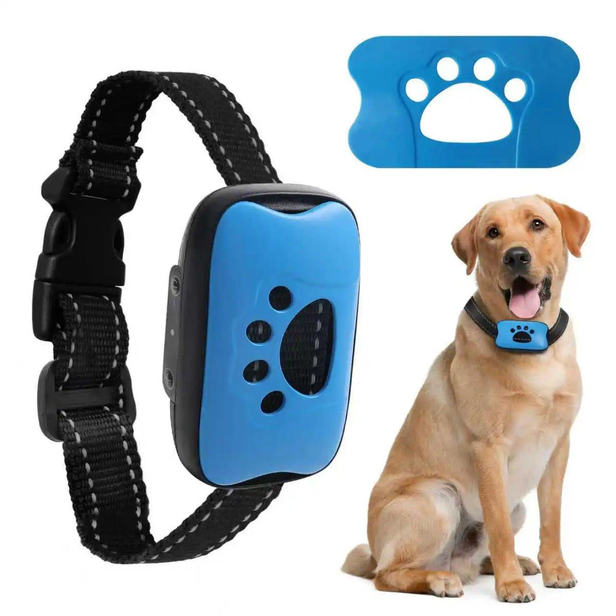 A blue dog bark collar with a paw print design is shown next to a golden retriever wearing it.