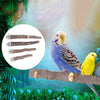 Un oiseau de compagnie bleu et blanc perché sur une branche en bois naturel dans un environnement vert luxuriant avec des per