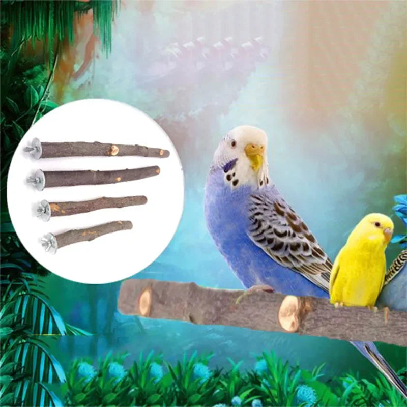 Un oiseau de compagnie bleu et blanc perché sur une branche en bois naturel dans un environnement vert luxuriant avec des per