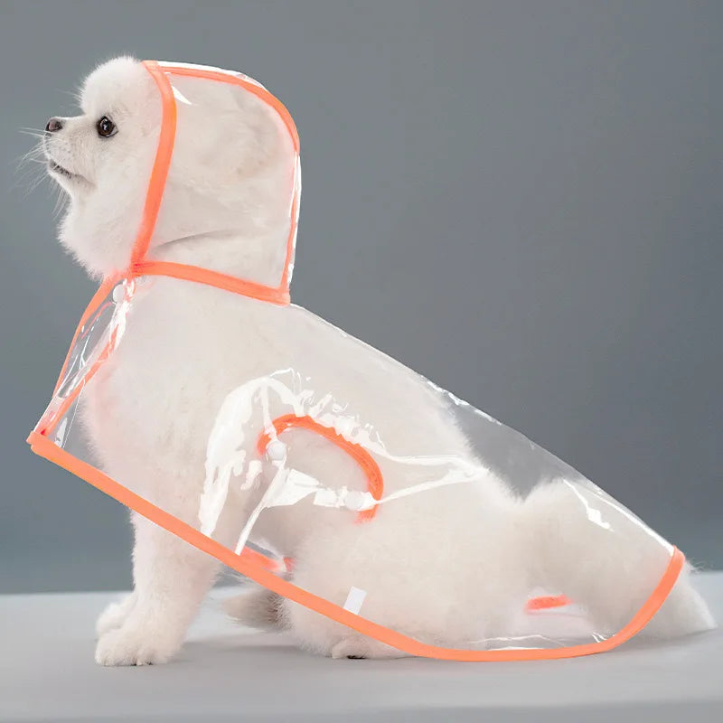 Ein weißer Hund in einem durchsichtigen, wasserdichten Regenmantel mit orangem Zierrand.