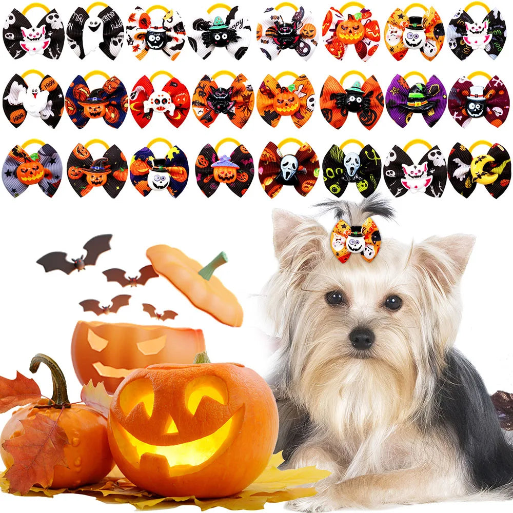 A fluffy dog wearing Halloween pumpkin print hair bows with rubber bands, surrounded by carved pumpkins.