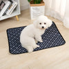 A fluffy white dog is lying on a black pet training mat next to a paper bag labeled Le sac en papier.