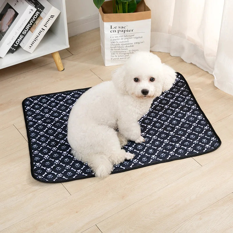 A fluffy white dog is lying on a black pet training mat next to a paper bag labeled Le sac en papier.