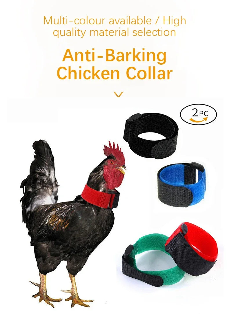 Collar anti-gimote para gallos, con selección de material de alta calidad y multicolor.