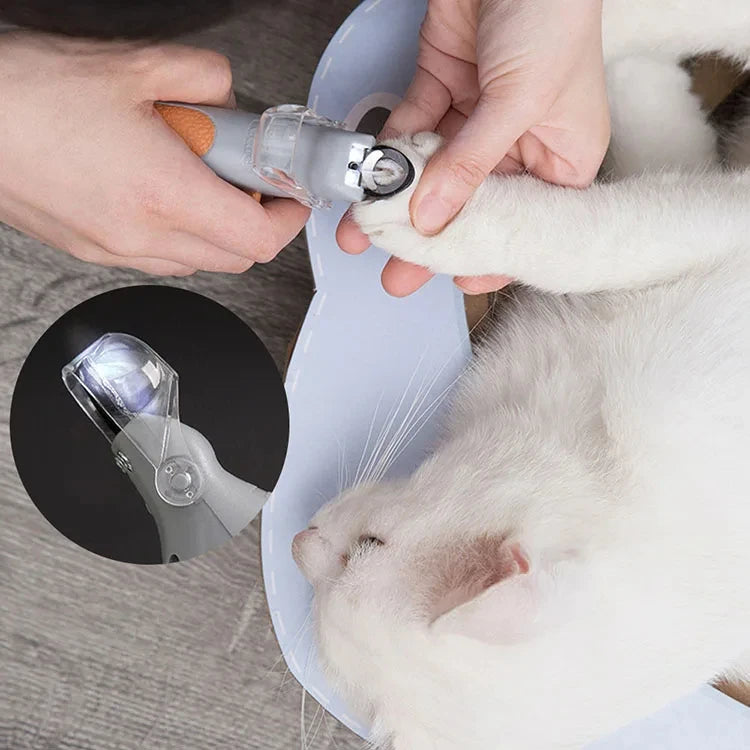 Hands are using professional LED pet nail clippers on a white cat's paw.