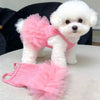 A fluffy white dog wearing a pink tutu dress, with a matching pink tutu lying next to it.