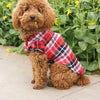 A fluffy brown dog wearing a red and black plaid button-up shirt sitting on a sidewalk.