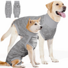 Golden Retriever mit grauem Tarn-Anxiäts- und Genesungsvest, separate Teile gezeigt.