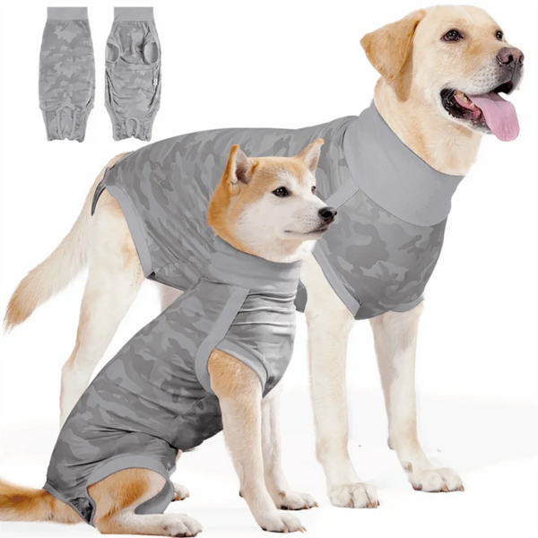 A golden retriever wearing a gray camouflage dog anxiety and recovery vest, with separate vest pieces shown.