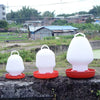 White automatic poultry feeder and waterer for chickens, quail, and ducks sitting on a dark surface.