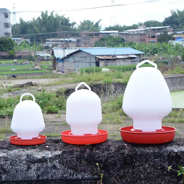 White automatic poultry feeder and waterer for chickens, quail, and ducks sitting on a dark surface.