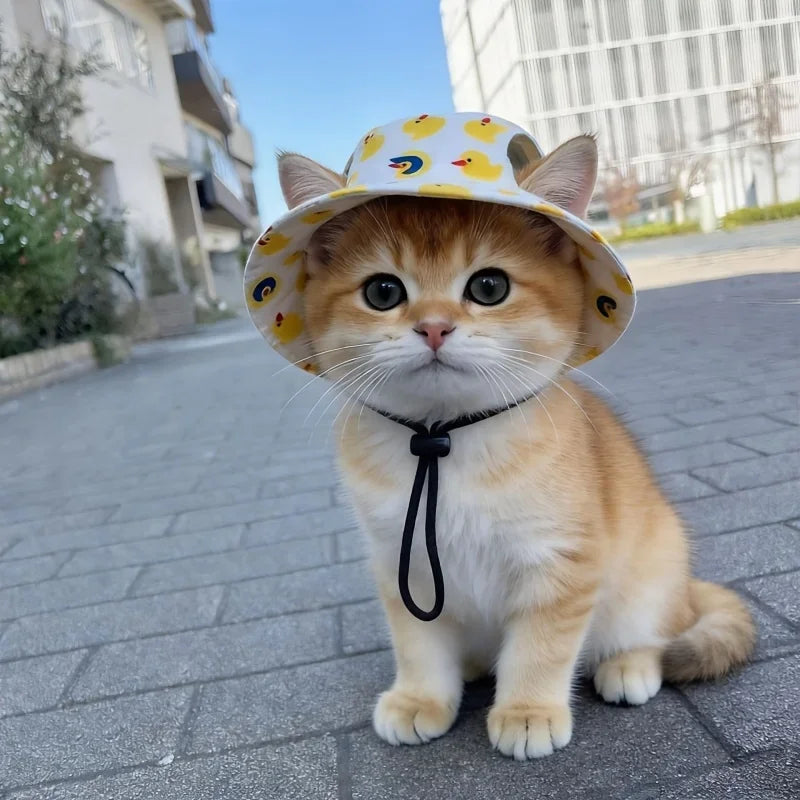 An orange tabby cat wearing a yellow and white duck print pet cap sitting on a paved sidewalk.