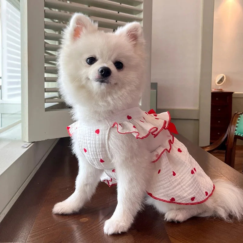Un chien blanc et duveteux portant une jolie robe rouge à nœuds avec de petits cœurs rouges.