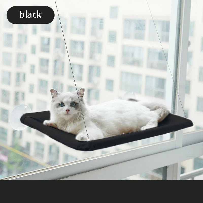 A white cat is resting on a black aerial hammock pet bed, suspended in front of a modern building window.