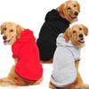 Three golden retriever puppies wearing cozy autumn and winter hoodies in red, black, and gray.