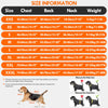 A chart detailing size information for a dog surgery recovery suit including measurements for chest, back, neck, and weight.