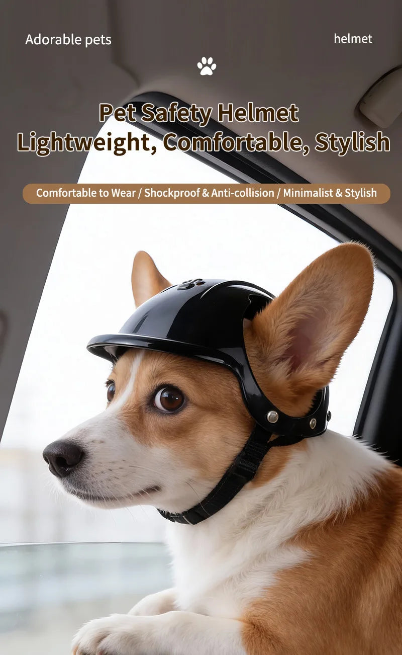 Un perro de color claro usando un casco de seguridad negro en el interior de un coche.