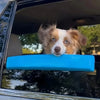 A dog with brown and white fur is resting its chin on a blue foam cushion inside a car window.