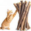 An orange tabby cat is interacting with a bundle of natural herbal cat chew sticks.