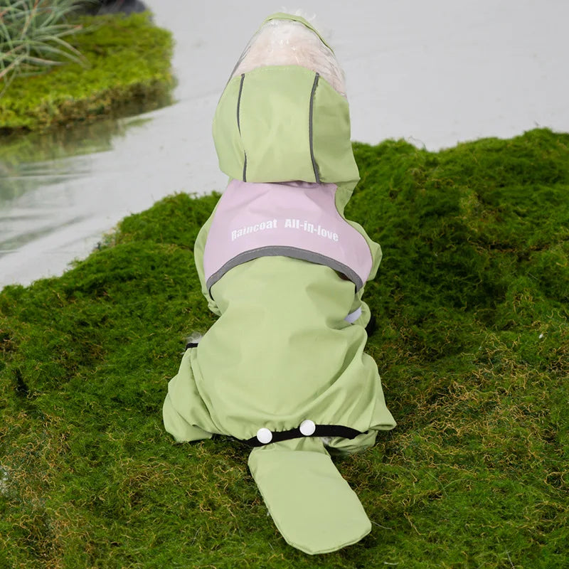Un cachorro de perro con impermeable verde claro, collar rosa y capucha, tumbado sobre césped verde.