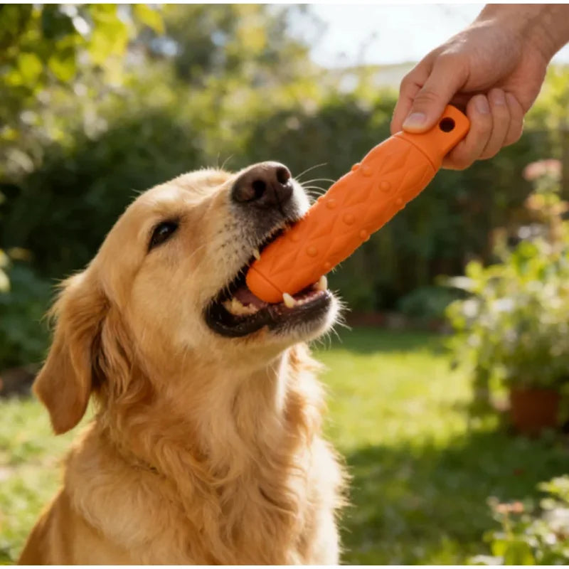 A golden retriever dog is holding an orange chew toy in its mouth, being presented by a human hand outdoors.