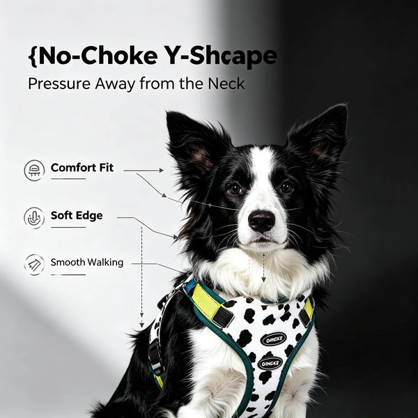 A black and white dog wearing a yellow anti-pull harness designed to relieve pressure from the neck.