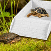 A white rectangular habitat bowl contains a tortoise, with another tortoise resting on the mossy ground nearby.