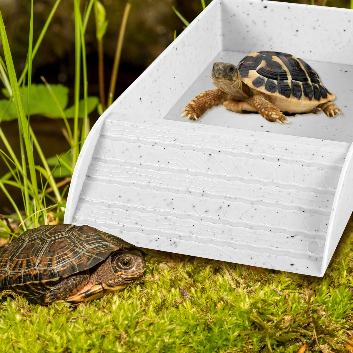 A white rectangular habitat bowl contains a tortoise, with another tortoise resting on the mossy ground nearby.