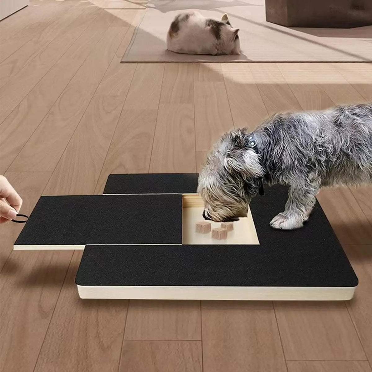 A wooden dog nail scratching board with a treat box is placed on a light wood floor next to a cat and a dog.