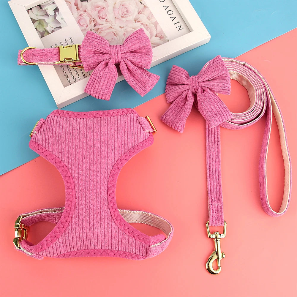Rosa Hundehalsband- und Leinen-Set mit Schleife und goldener Schnalle auf rosa Hintergrund.