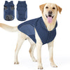 A golden retriever wearing a navy blue waterproof dog coat with a fleece lining.